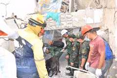 Equipos de rescate vietnamitas buscan víctimas entre los escombros. Foto: VNA