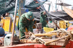 Guardias fronterizos ayudan a los pescadores a evitar el tifón Mayak. Foto: VNA.