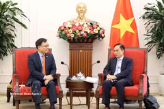 El ministro de Relaciones Exteriores de Vietnam, Le Hoai Trung, recibe al embajador de Corea del Sur en Hanoi, Choi Young Sam (Fuente: VNA)