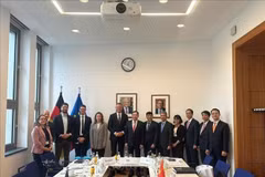 En el encuentro entre la delegación vietnamita y el Ministerio del Interior alemán (Fuente: VNA)