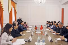 En la reunión de trabajo (Fuente: VNA)