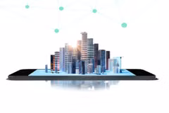 Programa de Desarrollo del Gobierno Digital