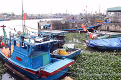La ciudad centrovietnamita de Da Nang está llevando a cabo una reestructuración integral de su flota pesquera (Fuente: VNA)