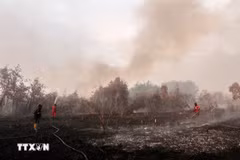 Los bomberos trabajan para extinguir un incendio forestal en Kampar, provincia de Riau, Indonesia, el 20 de julio de 2025. (Foto: Xinhua/VNA)