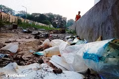 Foto ilustrativa (Fuente: VietnamPlus)