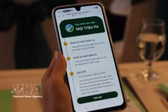 ViRiCert es una herramienta digital para el monitoreo de "Procesos técnicos para el cultivo de arroz de alta calidad y bajas emisiones". Foto: VNA.
