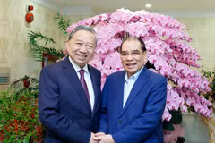 El secretario general del Partido Comunista de Vietnam, To Lam, realiza una visita y transmite felicitaciones por el Año Nuevo Lunar al exsecretario general Nong Duc Manh (Fuente: VNA)