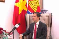 El embajador vietnamita en la India concurrente en Nepal y Bután, Nguyen Thanh Hai (Fuente: VNA)