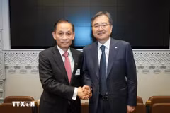 El ministro interino de Relaciones Exteriores de Vietnam, Le Hoai Trung, y el ministro de Relaciones Exteriores de Corea del Sur, Cho Hyun (Fuente: VNA)