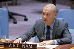 El consejero ministro Nguyen Hoang Nguyen (Fuente: VNA)