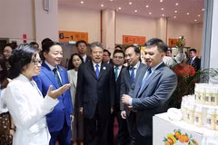 El viceprimer ministro Tran Hong Ha (segundo de izquierda) visita el stand vietnamita en la feria (Fuente: VNA)