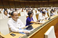 La Asamblea Nacional de Vietnam aprueba la Ley que modifica y complementa ciertos artículos de la Ley de Organización de la Fiscalía Popular (Fuente: VNA)