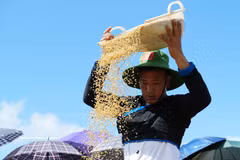 Festival de Temporada Dorada de Ta Leng en la provincia de Lai Chau 