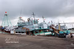 Barcos pesqueros anclados en el puerto pesquero de Cat Lo la mañana del 5 de septiembre, preparándose para su jornada de pesca. Foto: VNA
