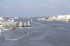 El estuario del río Doc, un bullicioso centro para embarcaciones pesqueras en la provincia de Ca Mau. (Foto: VNA)