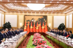 El secretario general del PCCh y presidente de China, Xi Jinping, sostiene conversaciones con el secretario general del Partido Comunista de Vietnam y presidente del país, To Lam (Fuente: VNA)