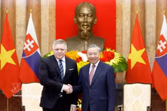 El secretario general del Partido Comunista de Vietnam y presidente de la República, To Lam, y el primer ministro eslovaco, Robert Fico (Fuente:VNA)