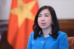 La viceministra de Relaciones Exteriores, Le Thi Thu Hang (Fuente: VNA)