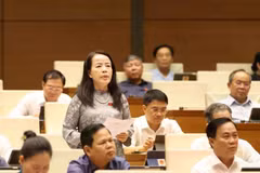 En una sesión de la Asamblea Nacional de Vietnam (Fuente: VNA)