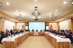 En la mesa redonda (Fuente: VNA)