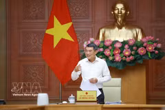 El premier Le Minh Hung habla en la cita (Fuente: VNA)