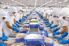 Vietnam depende en gran medida del comercio internacional, y las exportaciones representan el 90% del PIB del país. Imagen ilustrativa (Foto: VietnamPlus)