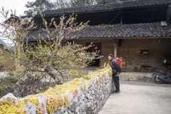 Una casa tradicional hmong en la provincia de Ha Giang. Foto: VNA.