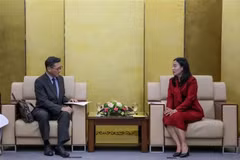 La vicepresidenta del Comité Popular de Da Nang, Nguyen Thi Anh Thi, recibe al cónsul general niponés en esta urbe (Fuente: VNA)
