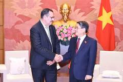 El vicepresidente de la Asamblea Nacional (Parlamento) vietnamita, Nguyen Duc Hai, recibe a Salah Djegloul (Fuente: VNA)