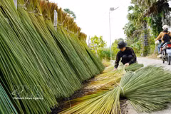 An Giang transforma el junco de sus zonas fronterizas en artesanías