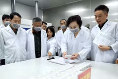 La viceprimera ministra Pham Thi Thanh Tra inspecciona muestras biológicas de restos de soldados caídos, que se empaquetan rigurosamente según las normas nacionales. Foto: VNA