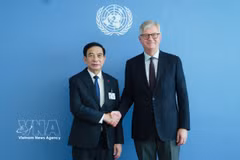 El general Phan Van Giang, viceprimer ministro y ministro de Defensa de Vietnam, y Jean-Pierre Lacroix, secretario general adjunto de la ONU para Operaciones de Paz (Fuente: VNA)