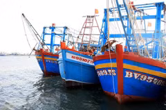 Barcos pesqueros en Dong Thap (Fuente: VNA)