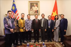 El viceprimer ministro Tran Hong Ha (centro) junto con representantes de asociaciones y empresas malasias (Fuente: VNA)