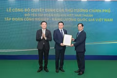 El viceprimer ministro Bui Thanh Son (derecha) entrega la decisión de cambiar el nombre del Grupo de Petróleo y Gas de Vietnam el 9 de abril. (Foto: VietnamPlus)