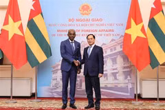 El viceprimer ministro y canciller de Vietnam, Bui Thanh Son, sostiene conversaciones en Hanoi con el ministro de Asuntos Exteriores, Integración Regional y Togoleses en el Exterior de Togo, Robert Dussey (Fuente: VNA)