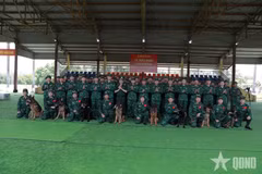 Vietnam enviará un contingente de 82 personas para apoyar las operaciones de búsqueda y rescate, así como las tareas de recuperación posteriores al sismo en Venezuela (Fuente: qdnd.vn)