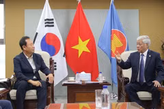 El presidente del Comité Central del Frente de la Patria de Vietnam, Do Van Chien (derecha), propone varias maneras de garantizar la implementación efectiva del proyecto de la Aldea Vietnamita en el condado de Bonghwa. (Foto: VNA)