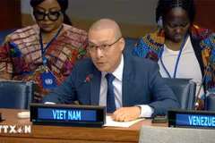 Nguyen Hoang Nguyen, ministro consejero y subjefe de la delegación vietnamita ante la Organización de las Naciones Unidas (Fuente: VNA)