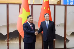El viceprimer ministro permanente de Vietnam, Pham Gia Tuc, y su homólogo chino, Ding Xuexiang (Fuente: VNA)