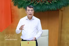 El primer ministro Le Minh Hung habla en la cita (Fuente: VNA)