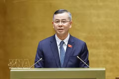 El ministro de Finanzas, Ngo Van Tuan (Fuente: VNA)