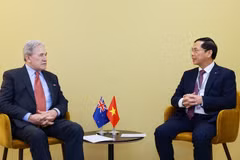 El vicepremier y canciller de Vietnam, Bui Thanh Son, (derecha) y el ministro de Relaciones Exteriores de Nueva Zelanda, Winston Peters (Fuente: VNA)