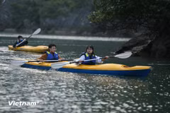 Turistas en la bahía de Ha Long (Fuente: VNA)