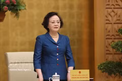 La viceprimera ministra Pham Thi Thanh Tra habla en la cita (Fuente: VNA)