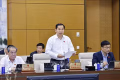 El secretario general del Parlamento y jefe de la Oficina del Consejo Electoral Nacional, Le Quang Manh (Fuente: VNA)