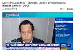 Mickaël Driol, director general de Mekong Partners (Fuente: VNA)