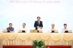 El ministro y jefe de la Oficina Gubernamental, Tran Van Son, habla en el evento (Fuente: VNA)