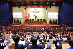 Los delegados votan para aprobar la Resolución del XIV Congreso Nacional del PCV (Foto: VNA)