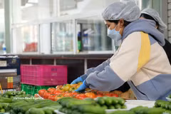 Las frutas y verduras son productos de exportación de alto valor para la provincia de Lam Dong, con un valor estimado de 30,42 millones de USD en el primer trimestre de 2026. Foto: VNA